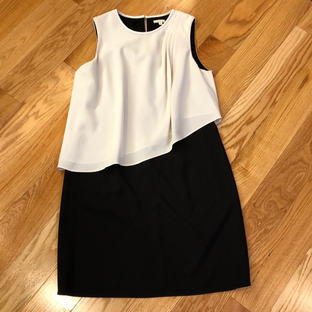 Shoshanna sheath with overlay